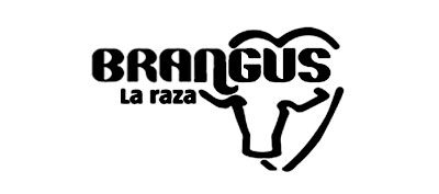 brangus.jpg